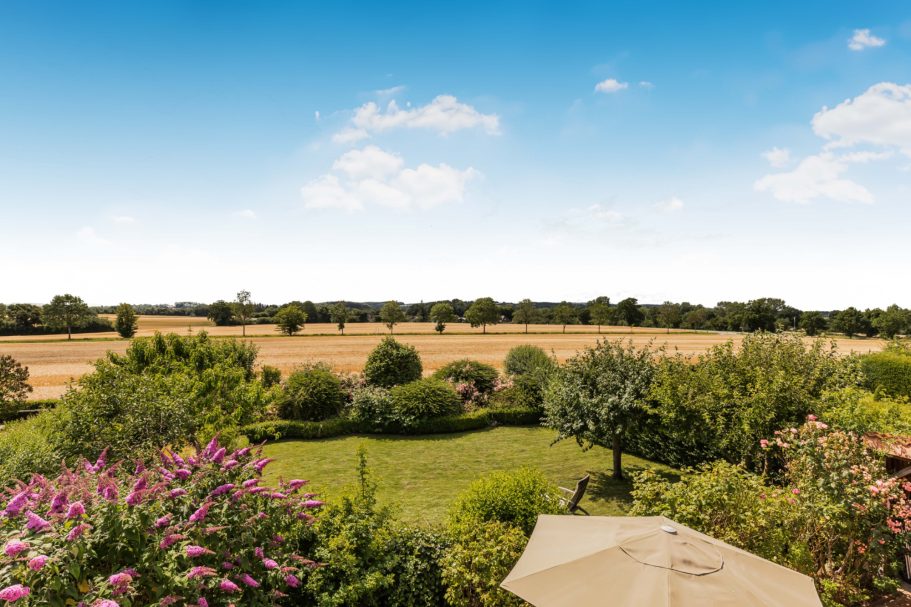 Aussicht auf ein grünes Feld mit Bäumen und Sträuchern unter blauem Himmel.